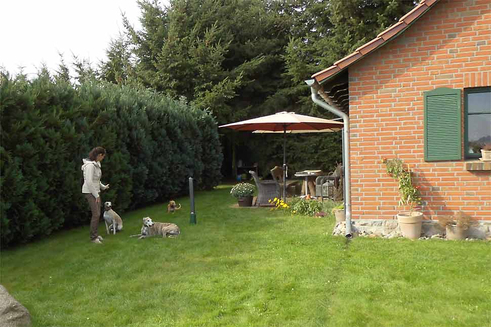 Ferienhaus mit Hund an der Müritz und der Mecklenburgischen Seenplatte